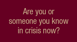 are you in crisis banner
